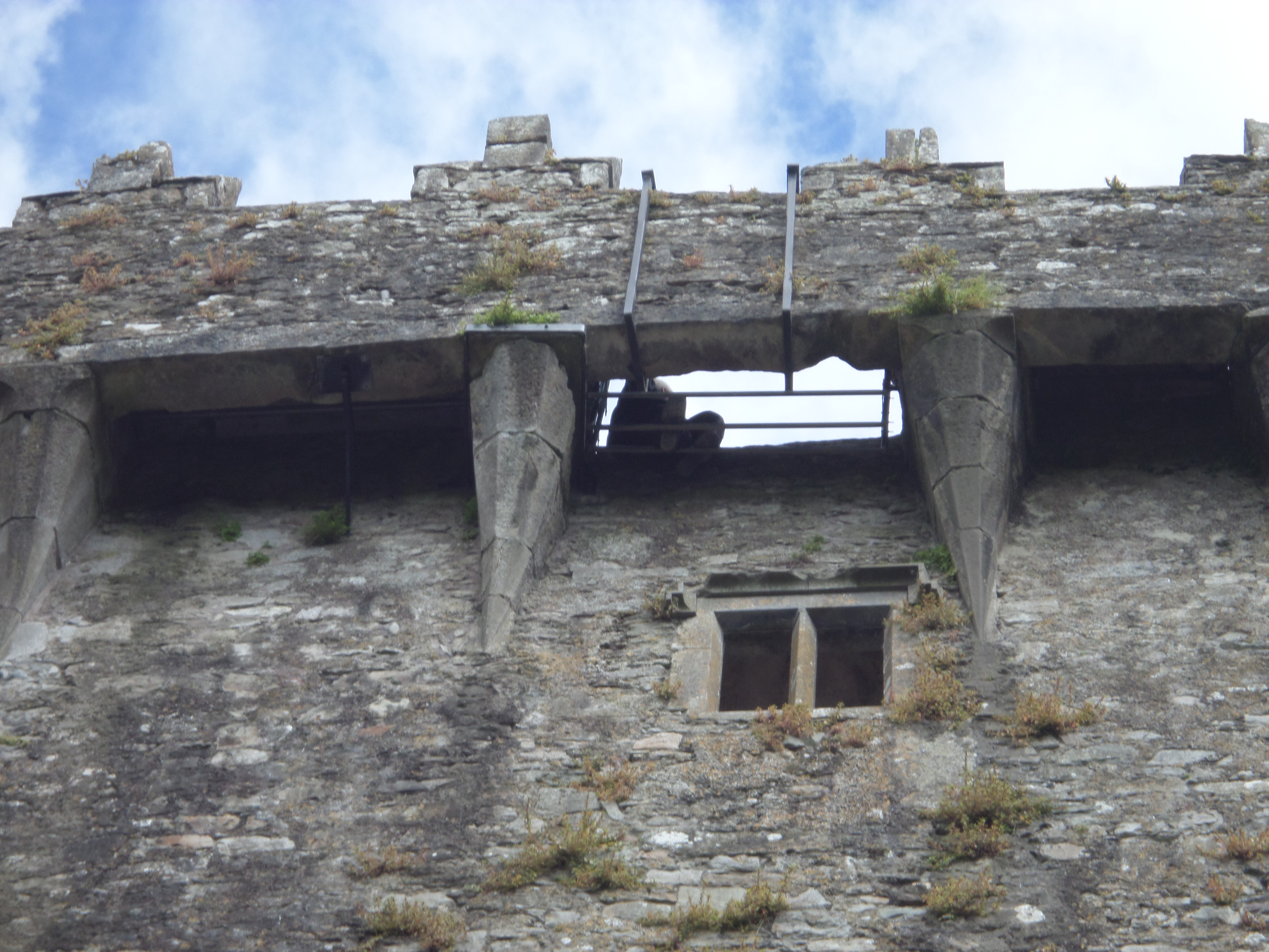 figure images/blarney3.jpg