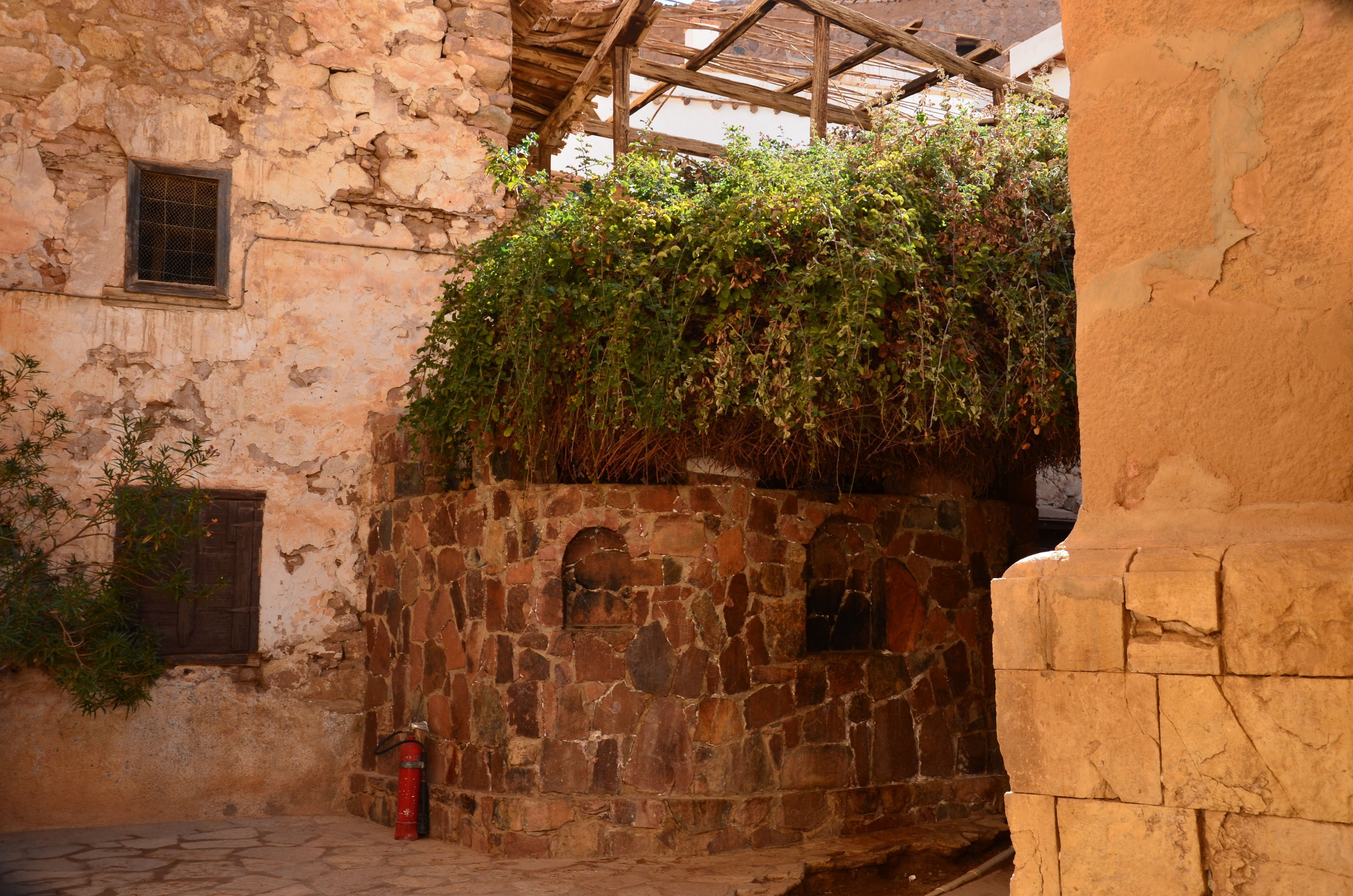 figure images/burningbush.jpg