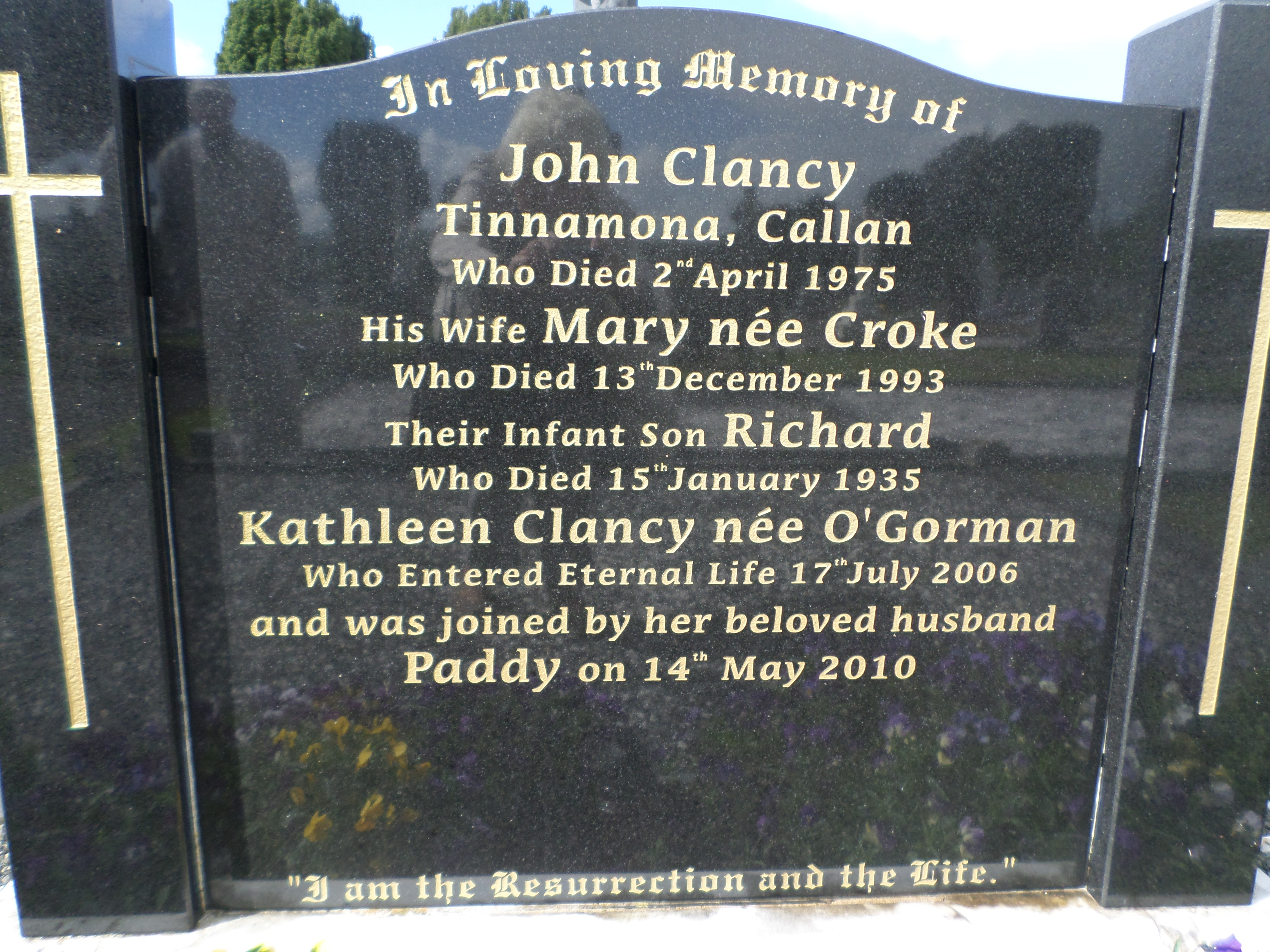 figure images/callan1.jpg