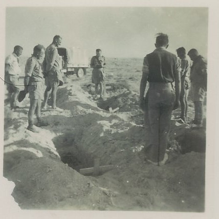 figure images/frted.jpg