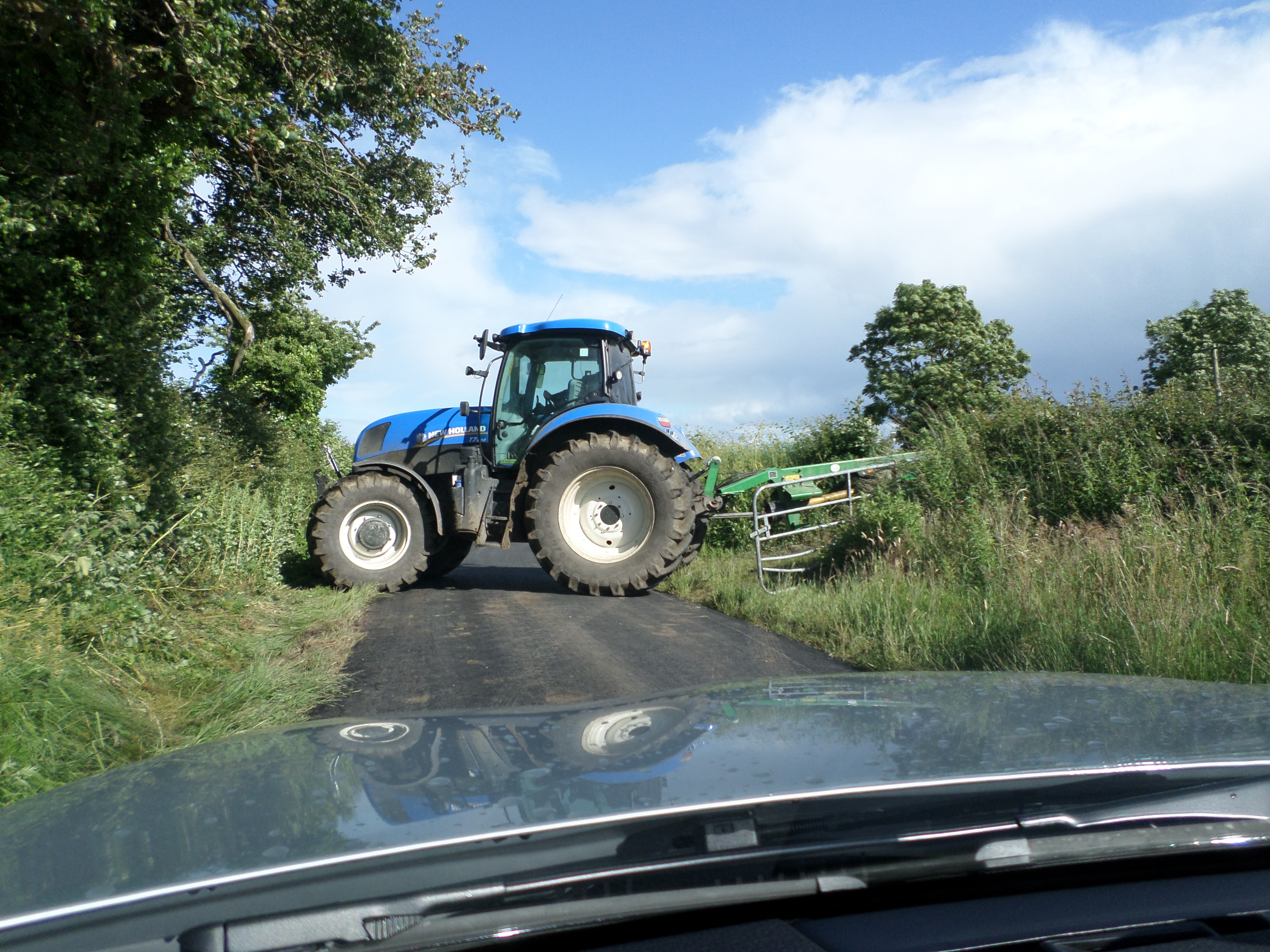 figure images/galmoy2.jpg