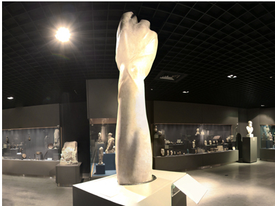 figure images/mush1.jpg