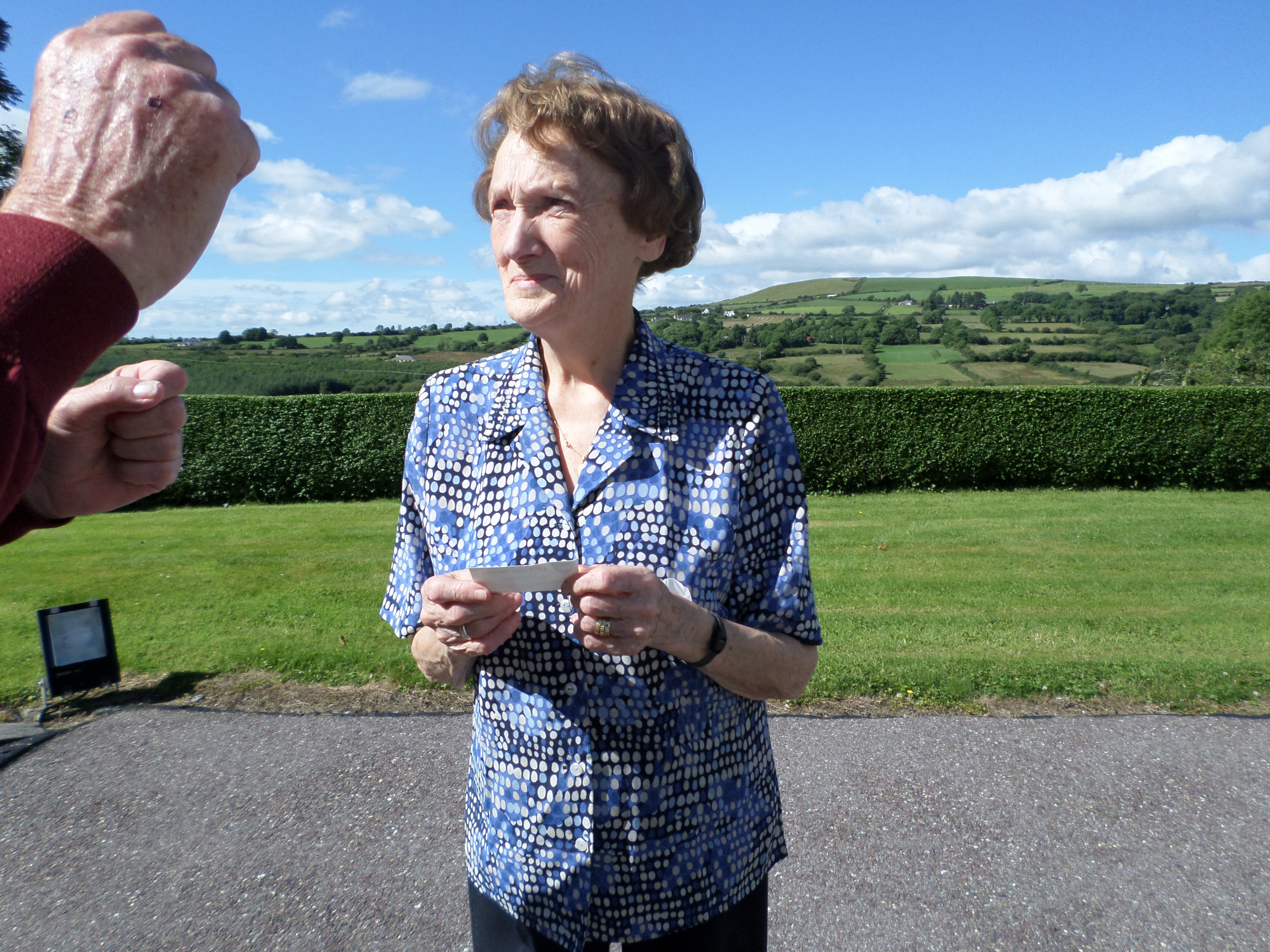 figure images/peg3.jpg