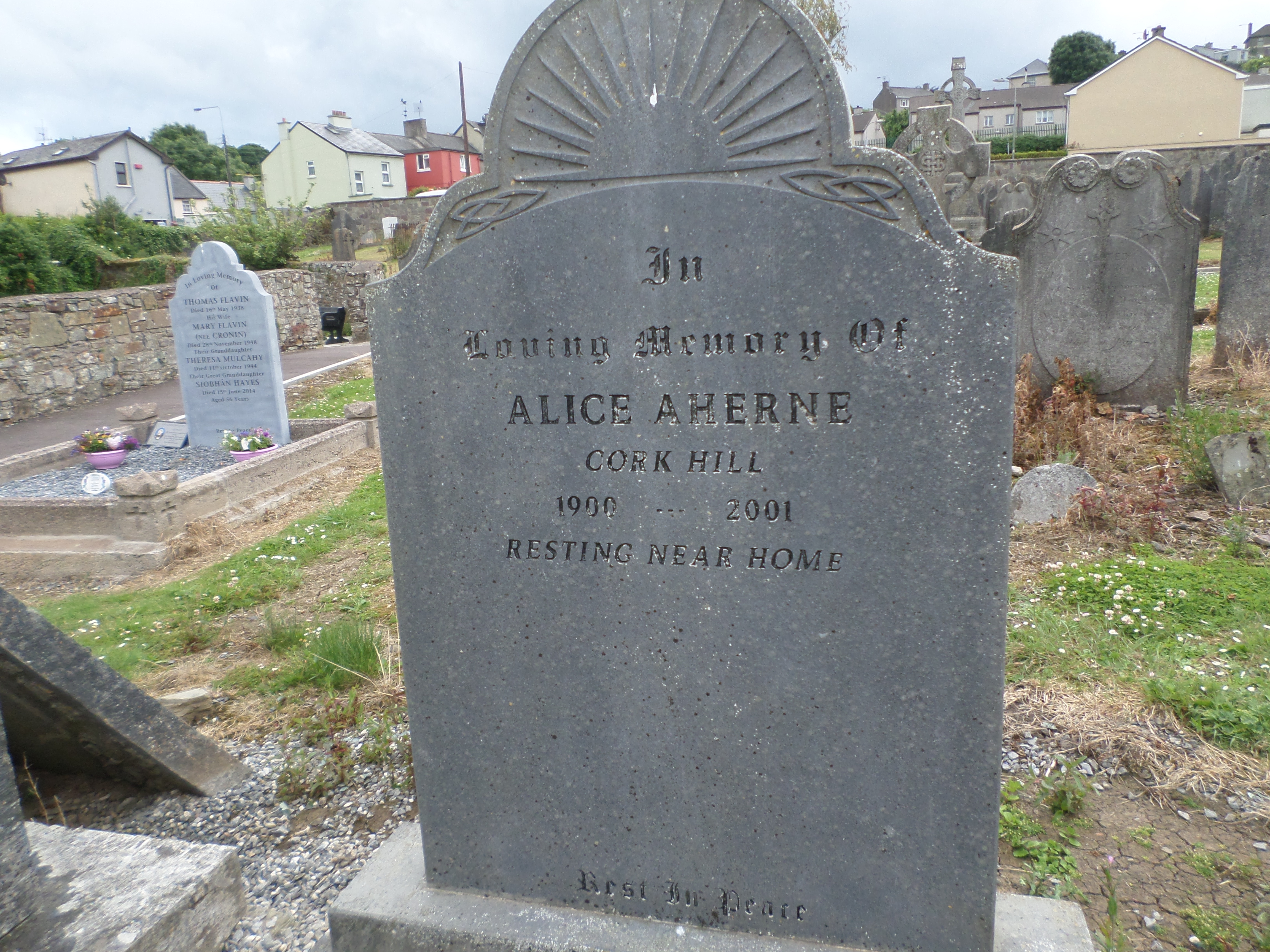 figure images/yeoghal1.jpg